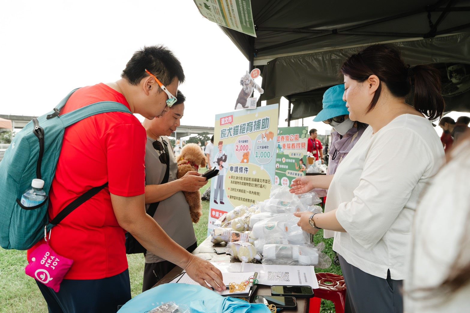 圖6